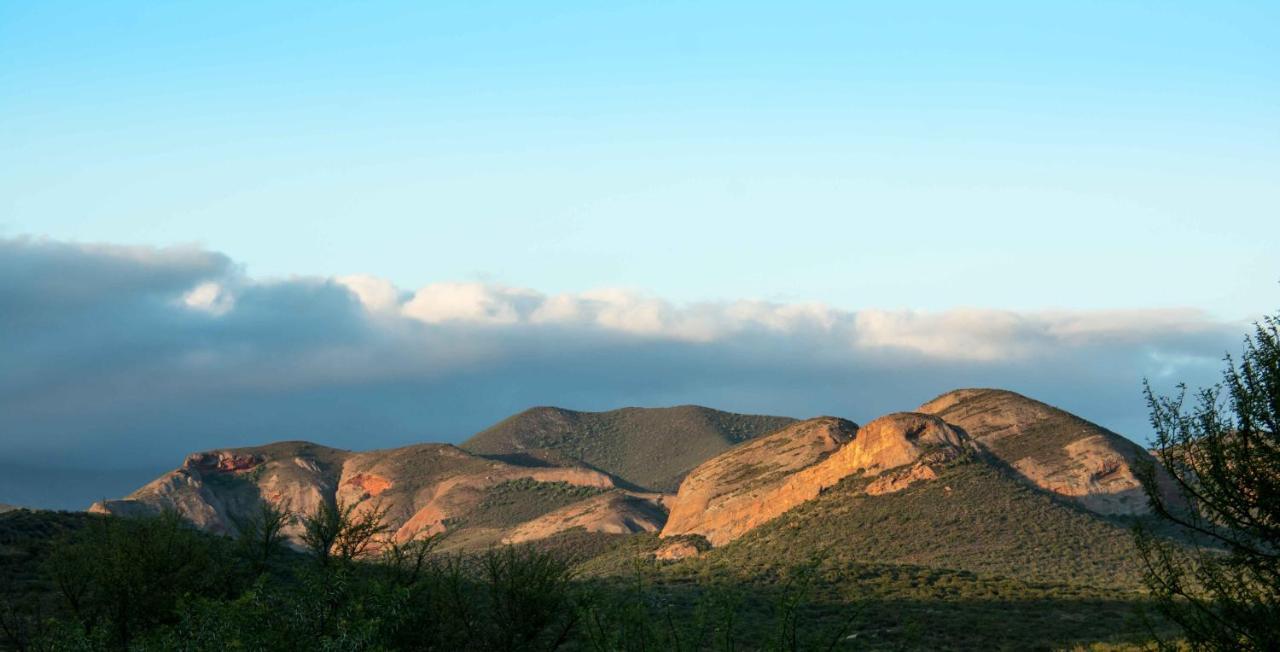 Thabile Lodge Oudtshoorn Luaran gambar