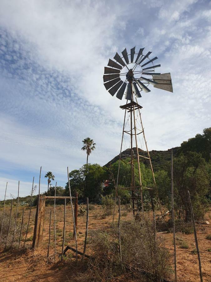 Thabile Lodge Oudtshoorn Luaran gambar