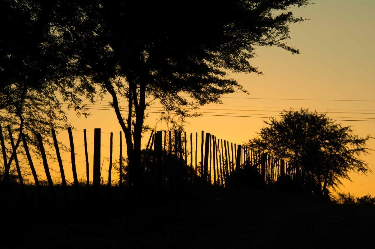 Thabile Lodge Oudtshoorn Luaran gambar