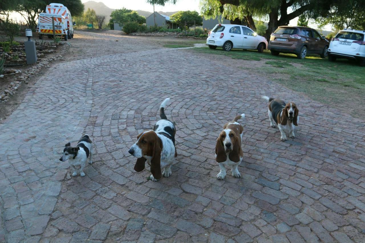 Thabile Lodge Oudtshoorn Luaran gambar
